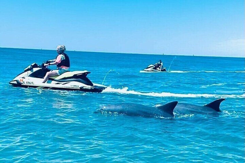 2 Hour Shell Island Jet Ski Dolphin Tour