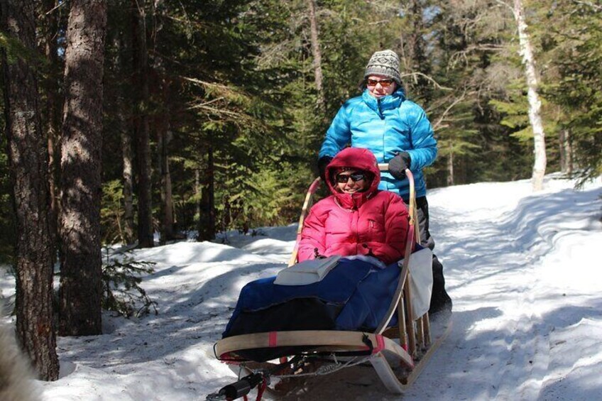 Dogsledding Nordic Adventure in Mont Tremblant