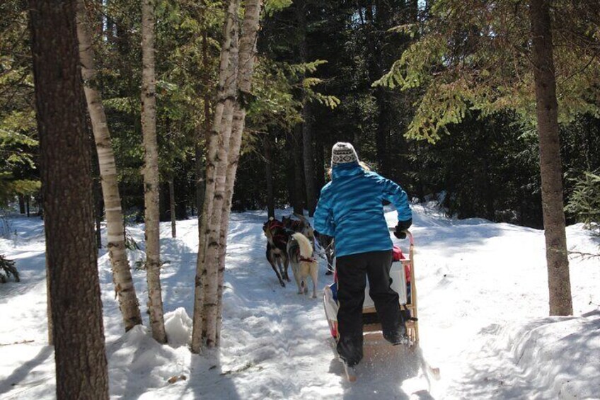 Dogsledding Nordic Adventure in Mont Tremblant