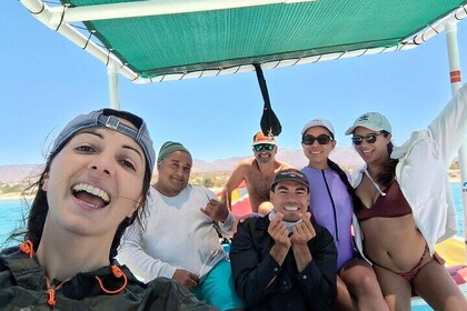 Sea Safari ¡Tu oportunidad de nadar con Orcas solo en los mundos!