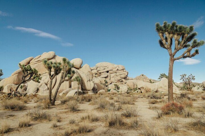 Overlook Canyon Trail