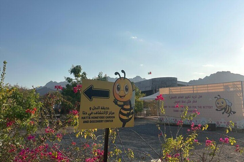 Private Hatta Tour Heritage Village, Bee Garden and Kayaking