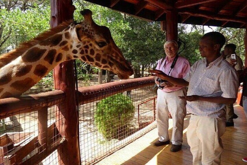 Giraffe Center Half Day Trip from Nairobi