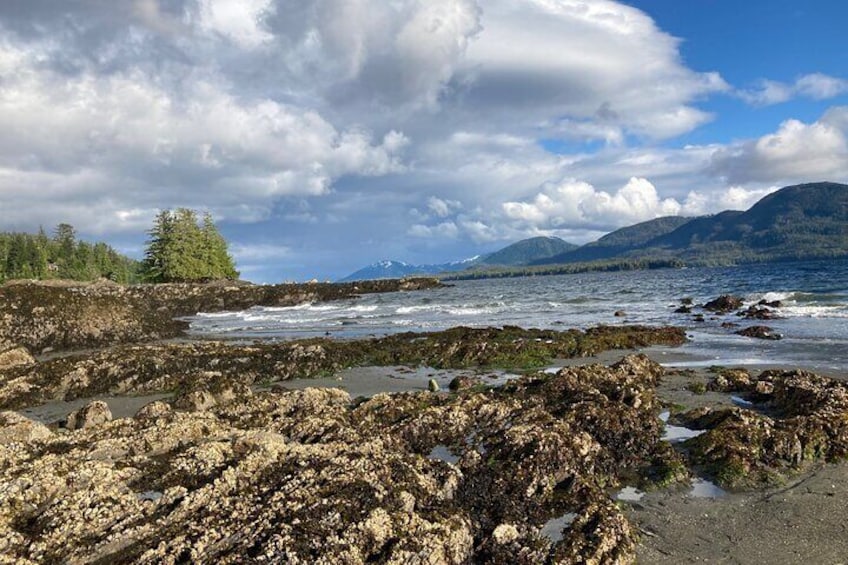 Rotary beach