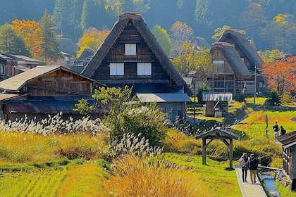 Shirakawa-go Day Trip with Bus Tickets from Takayama