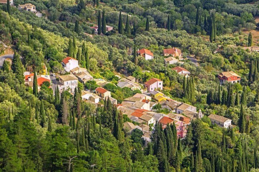 Olive Oil Wine Tasting and Traditional Villages Tour