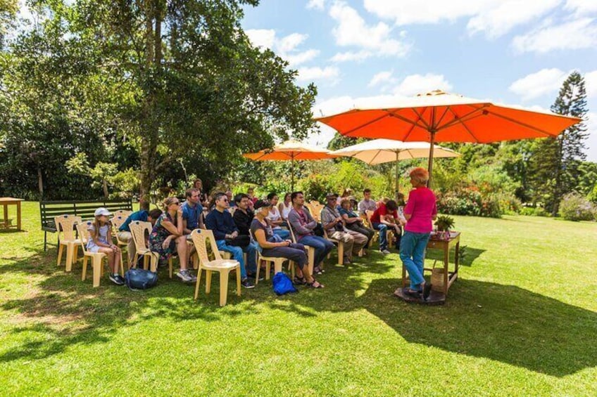 Kiambethu Tea Farm Tour & Lunch From Nairobi