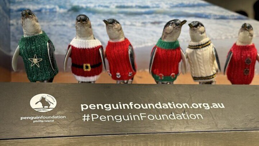 The Penguin Foundation: Dedicated to protecting and rehabilitating Phillip Island's beloved little penguins.