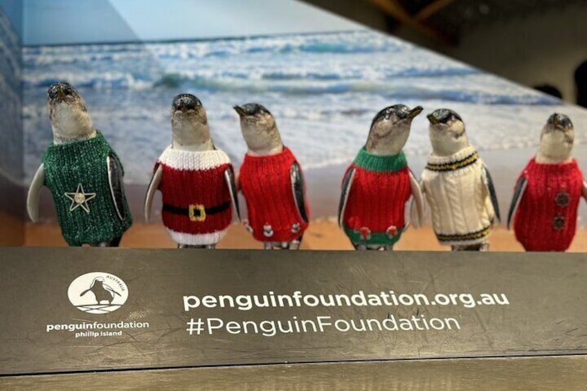 The Penguin Foundation: Dedicated to protecting and rehabilitating Phillip Island's beloved little penguins.