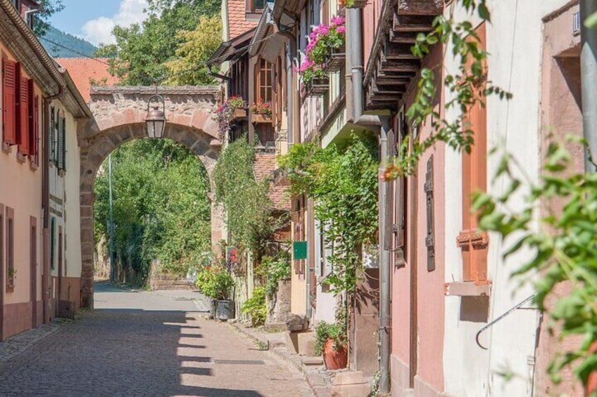 Unusual visit of typical Alsatian villages