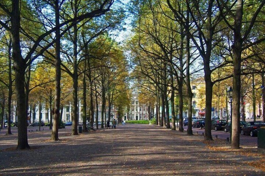 The Hague