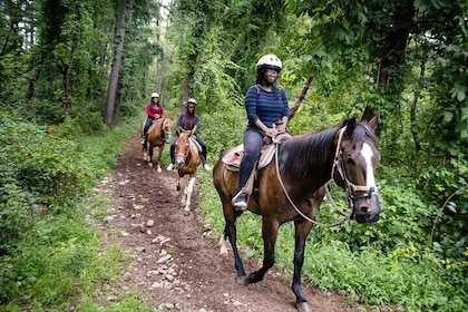 Scenic Horseback Riding Adventure Through the Atlas Mountain