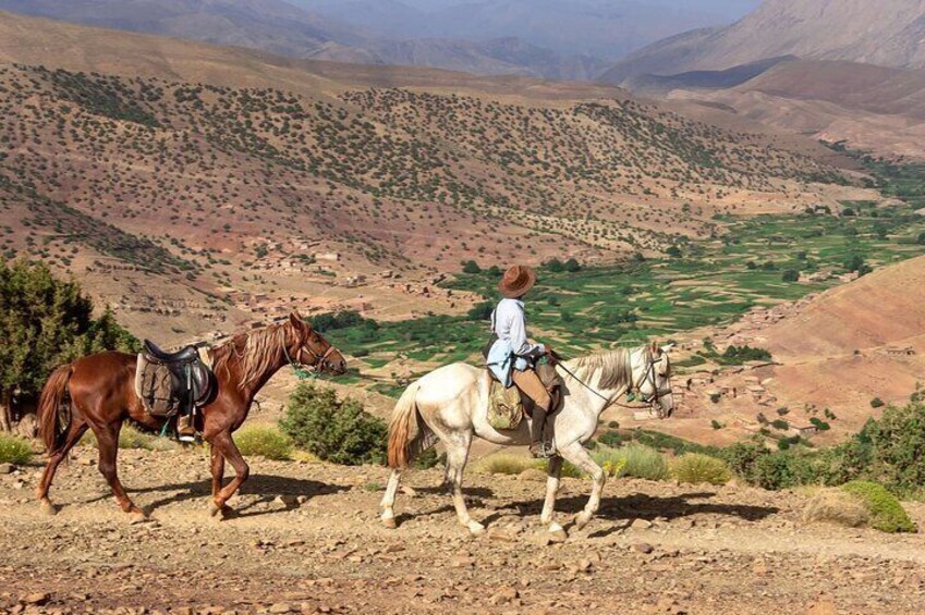 Scenic Horseback Riding Adventure Through the Atlas Mountain