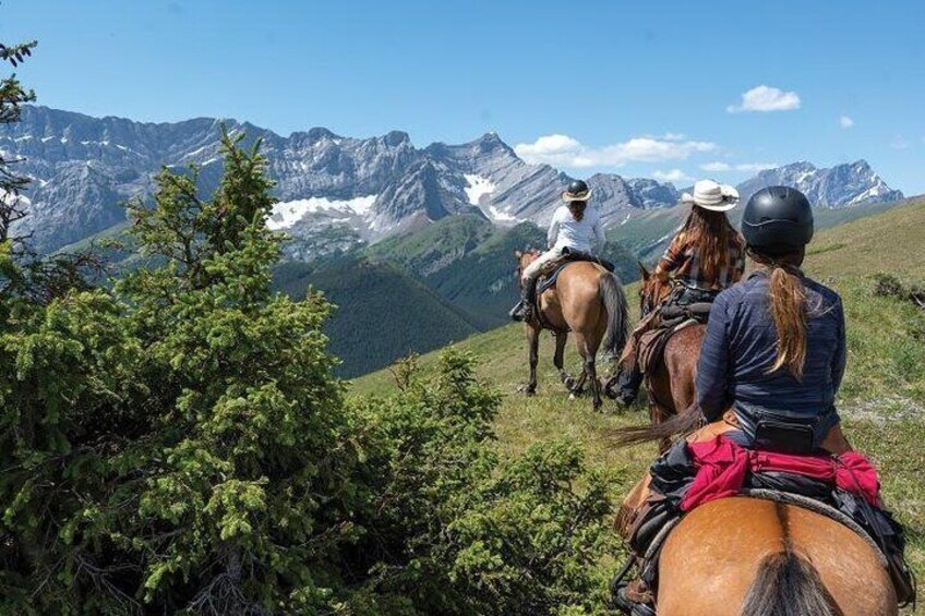 Scenic Horseback Riding Adventure Through the Atlas Mountain