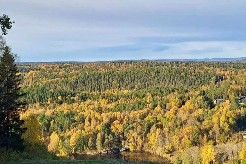 Oslo Yoga and Hiking with a dog