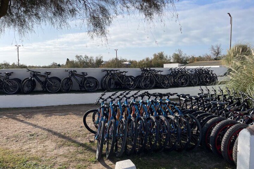 Mountain bike rental in Camargue 