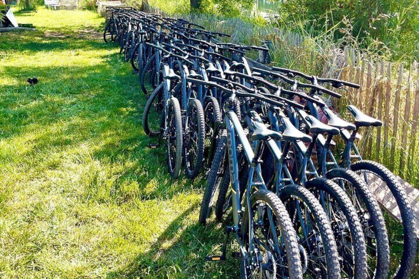 Mountain bike rental in Camargue 