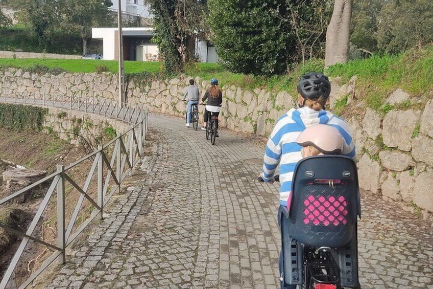 From Porto: e-Bike Tour and Vinho Verde–Green Wine in Amarante