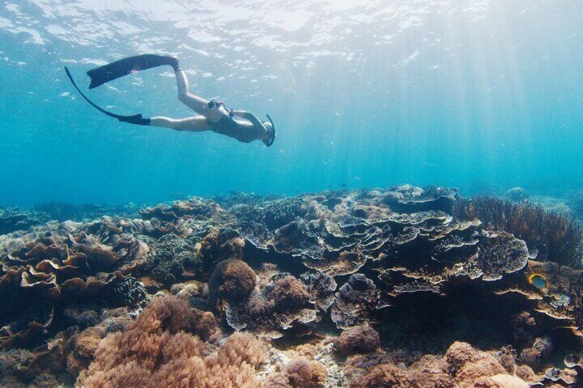 Discover untouched reefs rarely visited by other travelers