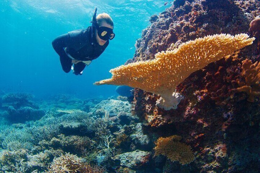 Explore less-known but equally stunning dive sites
