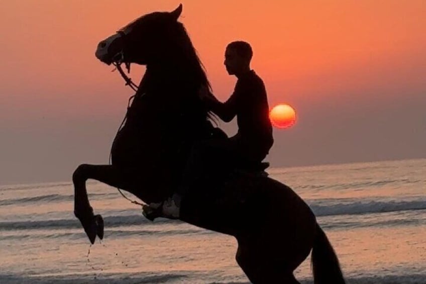 Horseback riding at sunset (2 hours)