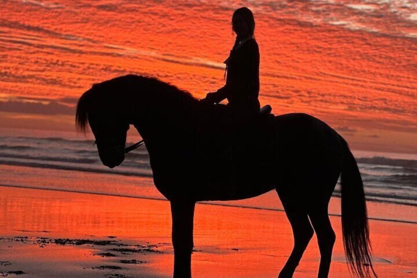 Horseback riding at sunset (2 hours)