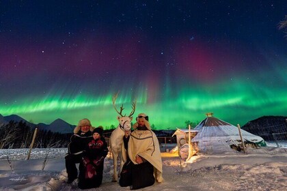 Reindeer Feeding and Sledding, Sami Storytelling Night Tour