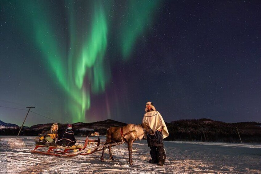 Reindeer Feeding and Sledding, Sami Storytelling Night Tour