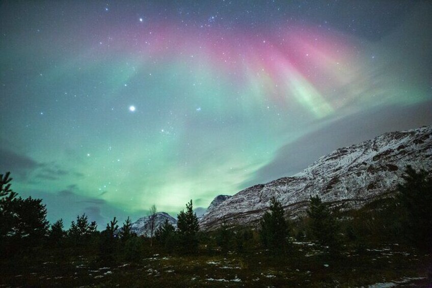 Reindeer Feeding and Sledding, Sami Storytelling Night Tour