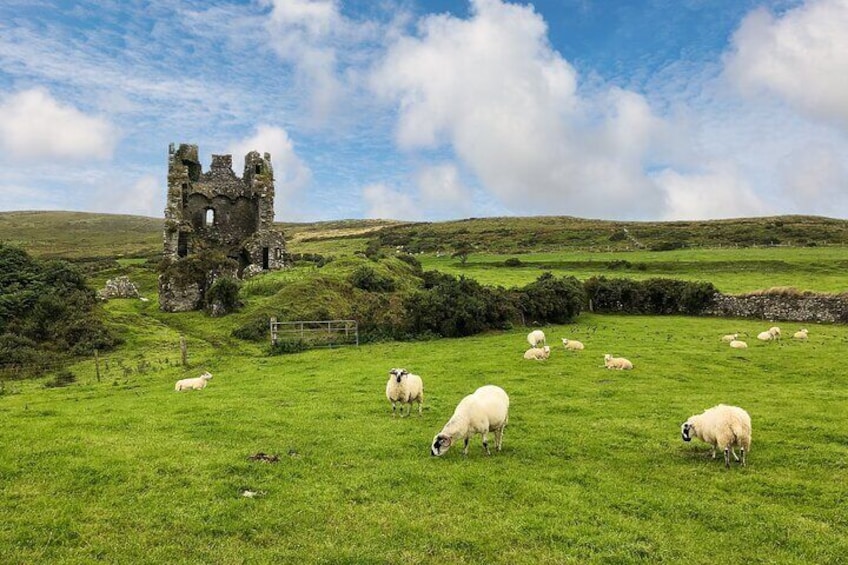 Rahinnane Castle at Ventry