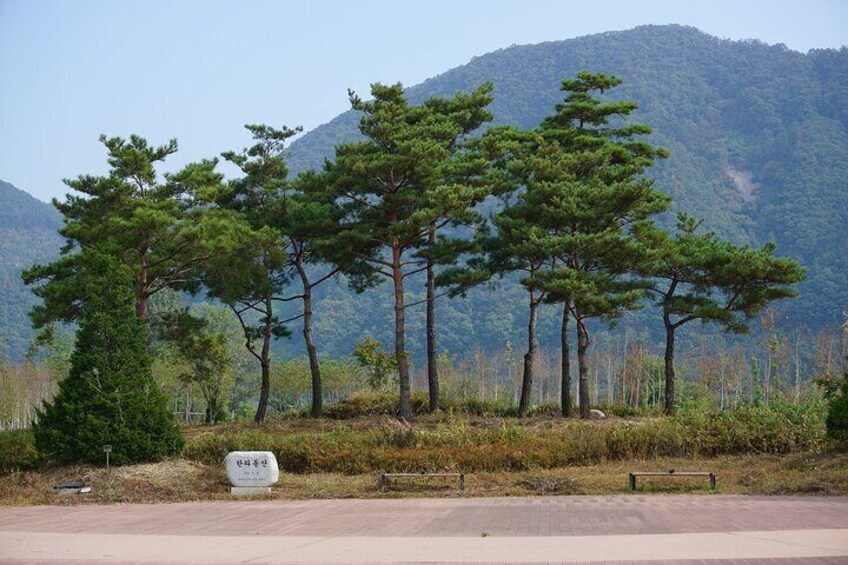 Nami Island from Seoul One Day Trip with Daily Chauffeur