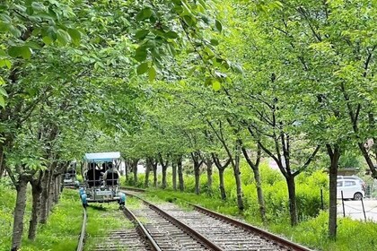 Nami Island from Seoul One Day Trip