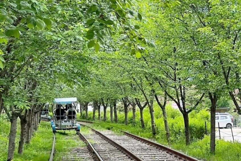 Nami Island from Seoul One Day Trip 