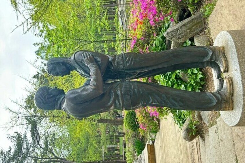 Nami Island from Seoul One Day Trip with Daily Chauffeur