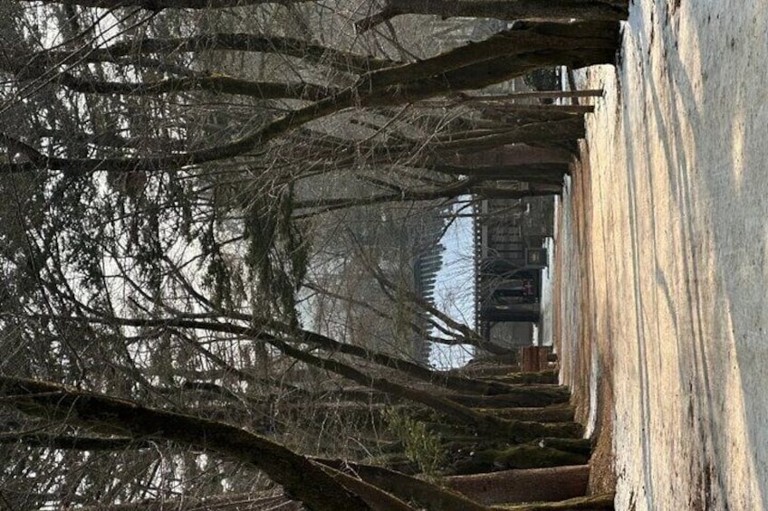 Nami Island from Seoul One Day Trip with Daily Chauffeur