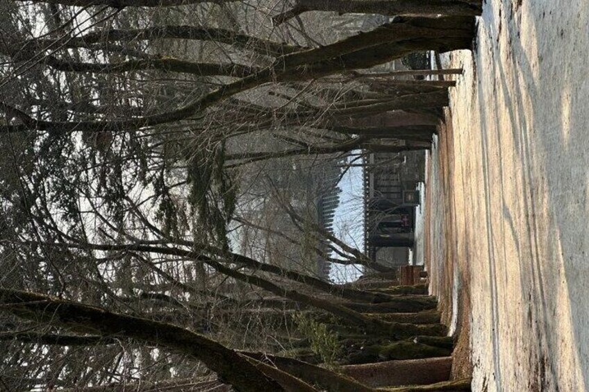 Nami Island from Seoul One Day Trip with Daily Chauffeur