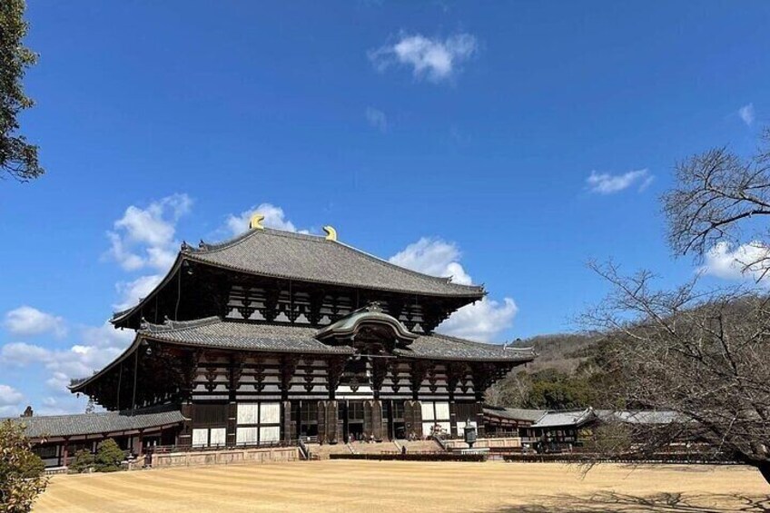 Kyoto & Nara Day Tour: Arashiyama, Fushimi Inari & Nara Deer Park