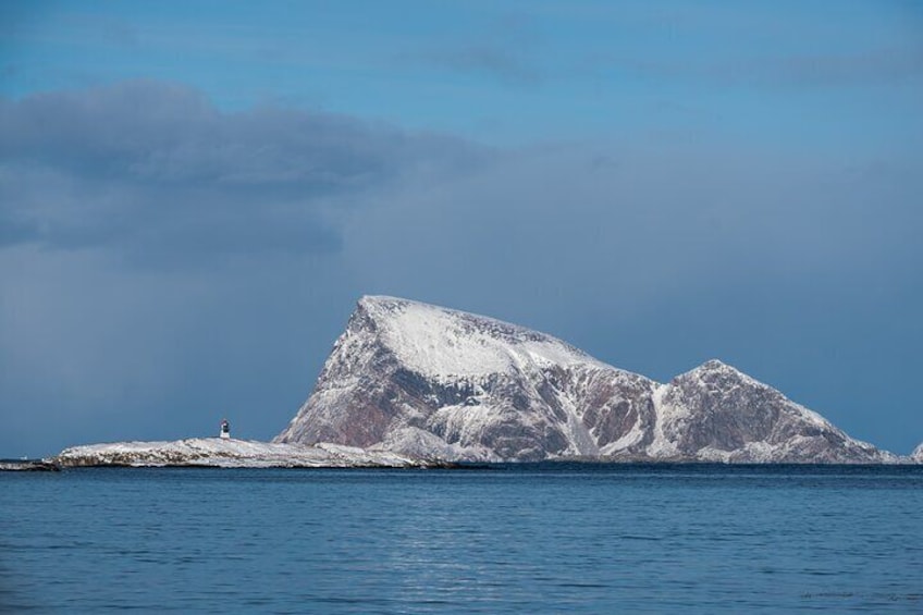 Tromsø: Kvaløya & Sommarøy Guided Tour