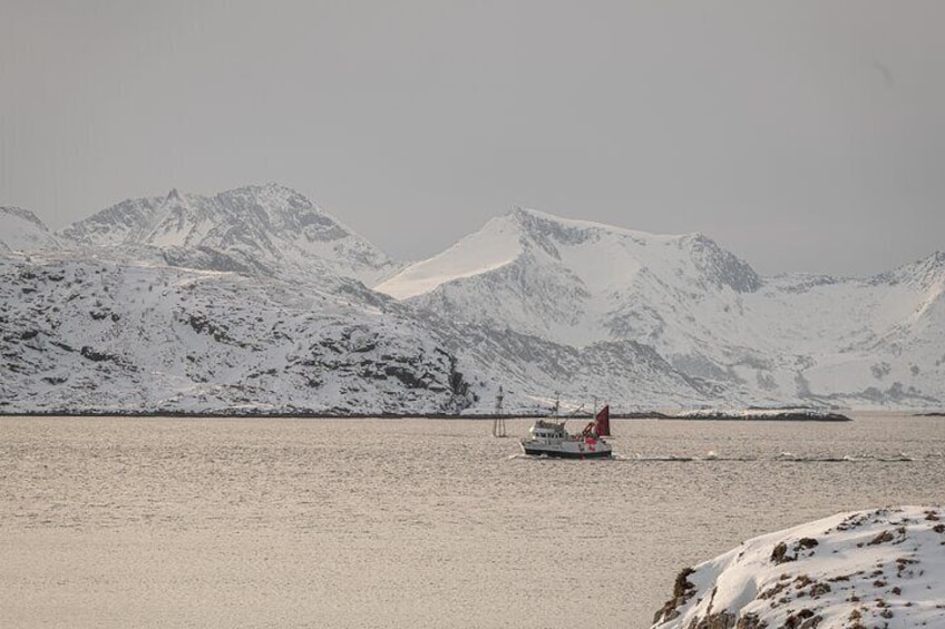 Tromsø: Kvaløya & Sommarøy Guided Tour