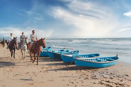 From marrakech: Essaouira Full Day Trips with Horse Riding