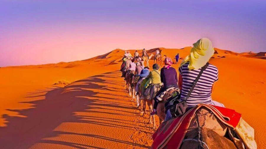 2 Days, 1 Night Luxury Desert Trip