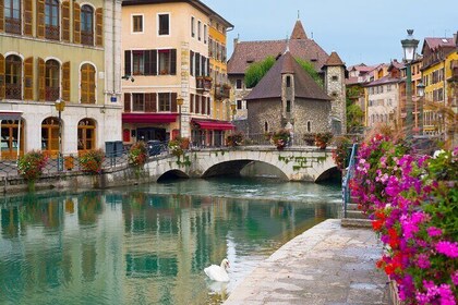 Private Tour: Perfect Day of Scenic Beauty - Annecy and Geneva