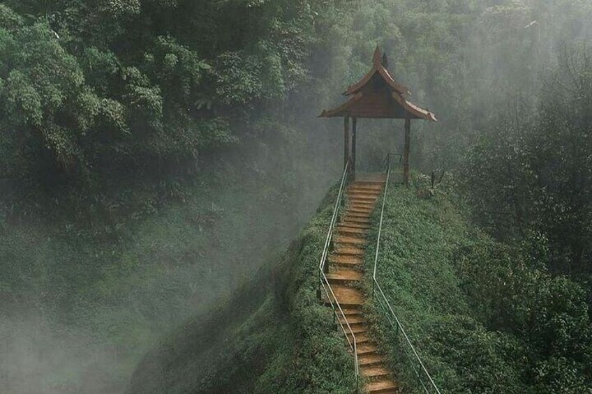 Tad Fane Private Zipline Thrills and Culinary Delights