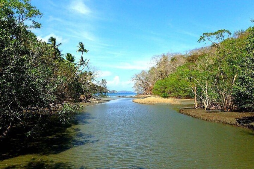 Curu Wildlife Refuge Guided Hike