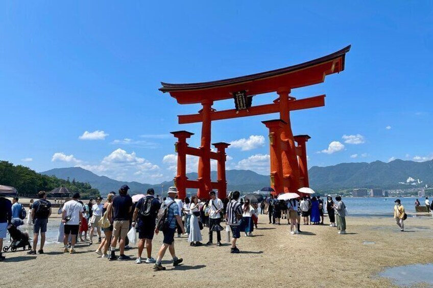 Miyajima Half-Day Private Experience with Locals