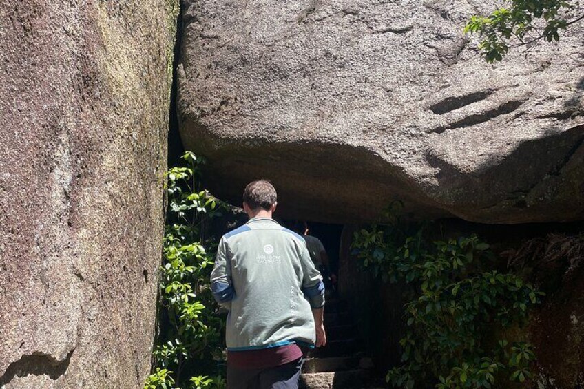 Miyajima Half-Day Private Experience with Locals