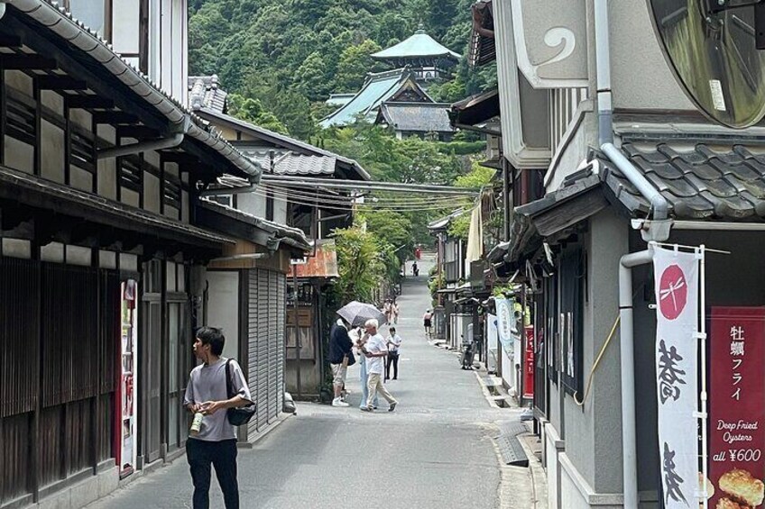 Miyajima Half-Day Private Experience with Locals