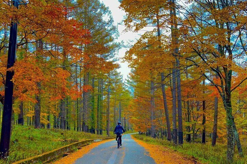 Nikko Cycling Tour with Local Guide