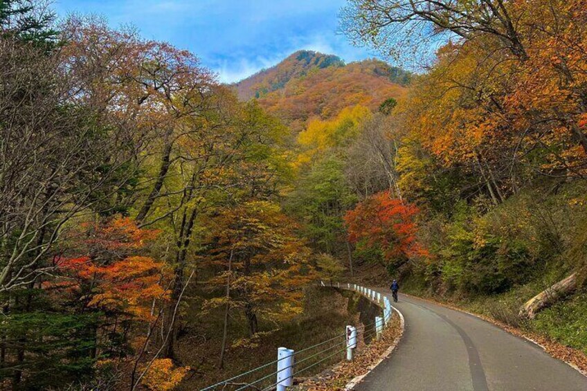 Nikko Cycling Tour with Local Guide