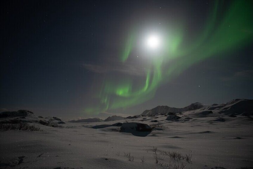 Lofoten Islands Northern Lights Tour